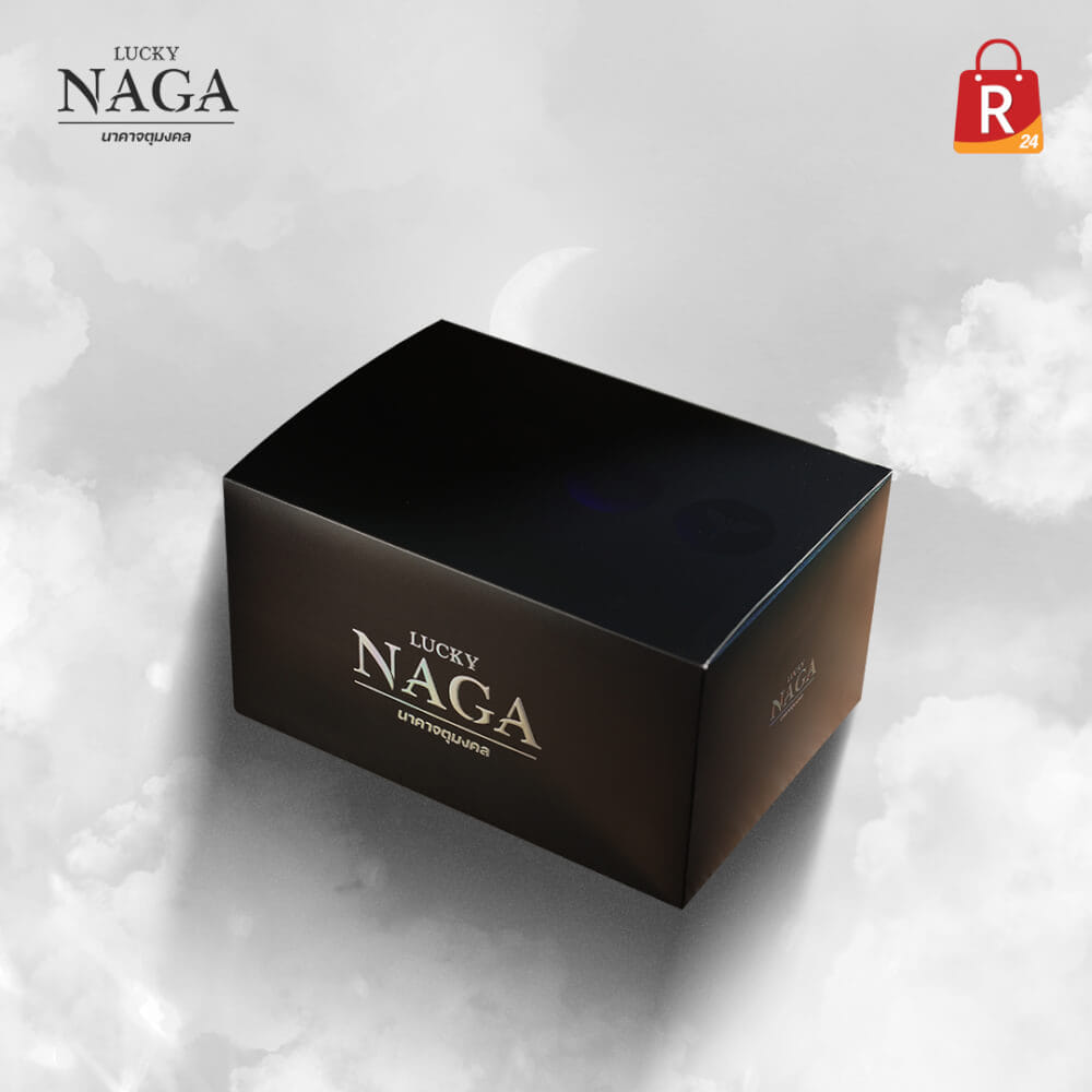 อาร์ตทอย ชุดนาคาจตุมงคล LUCKY NAGA BOX SET 4 ตัว